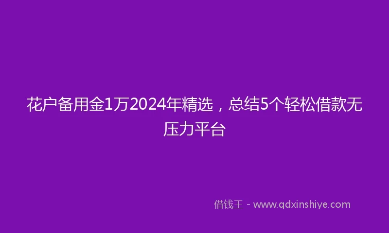 花户备用金1万2024年精选，总结5个轻松借款无压力平台