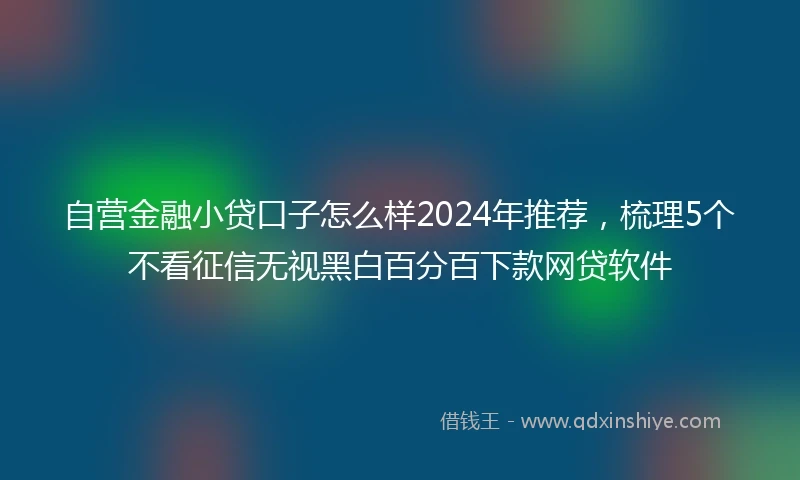 自营金融小贷口子怎么样2024年推荐，梳理5个不看征信无视黑白百分百下款网贷软件