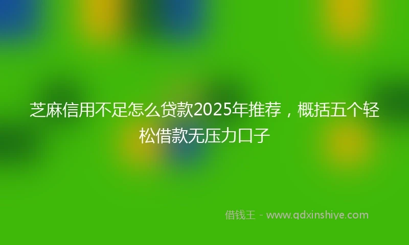芝麻信用不足怎么贷款2025年推荐，概括五个轻松借款无压力口子