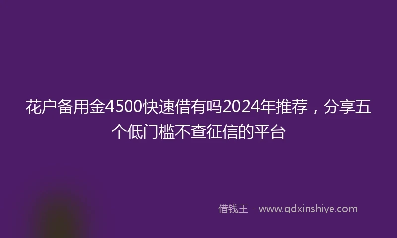 花户备用金4500快速借有吗2024年推荐，分享五个低门槛不查征信的平台