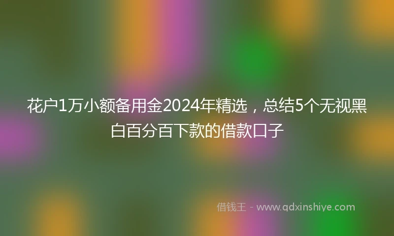 花户1万小额备用金2024年精选，总结5个无视黑白百分百下款的借款口子