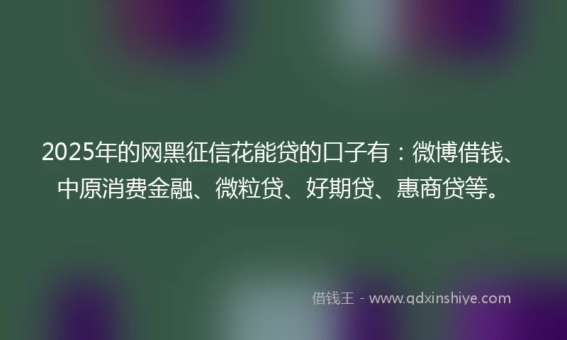 2025年的网黑征信花能贷的口子有：微博借钱、中原消费金融、微粒贷、好期贷、惠商贷等。