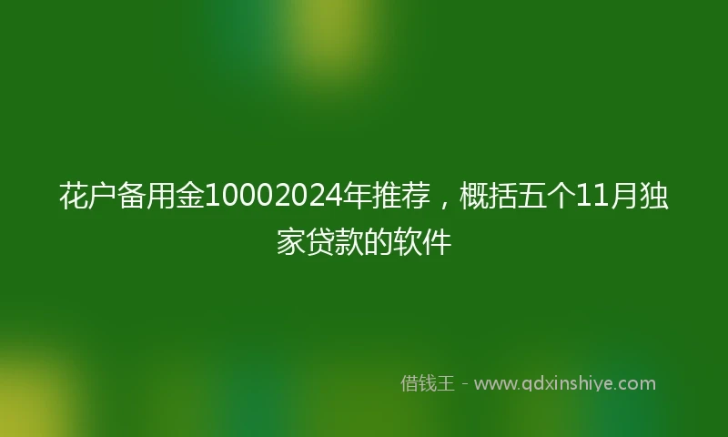 花户备用金10002024年推荐，概括五个11月独家贷款的软件
