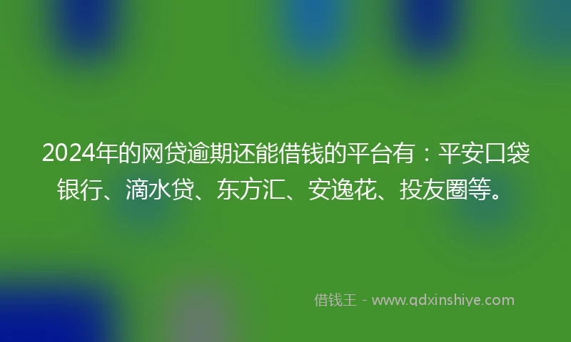 2024年的网贷逾期还能借钱的平台有：平安口袋银行、滴水贷、东方汇、安逸花、投友圈等。