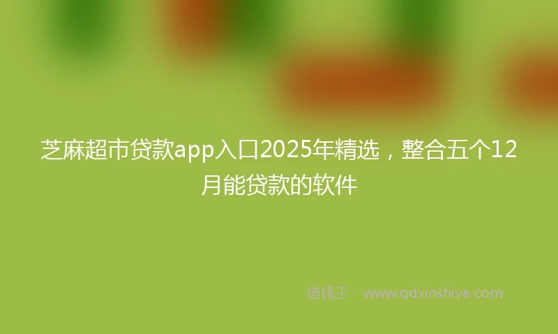 芝麻超市贷款app入口2025年精选，整合五个12月能贷款的软件