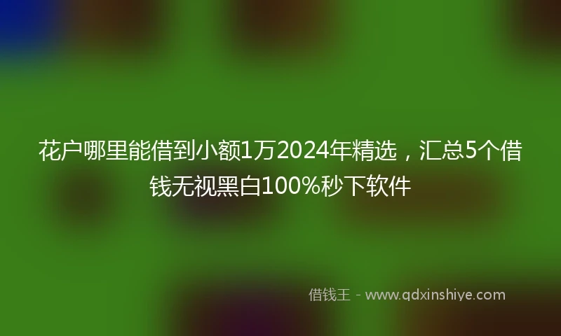 花户哪里能借到小额1万2024年精选，汇总5个借钱无视黑白100%秒下软件