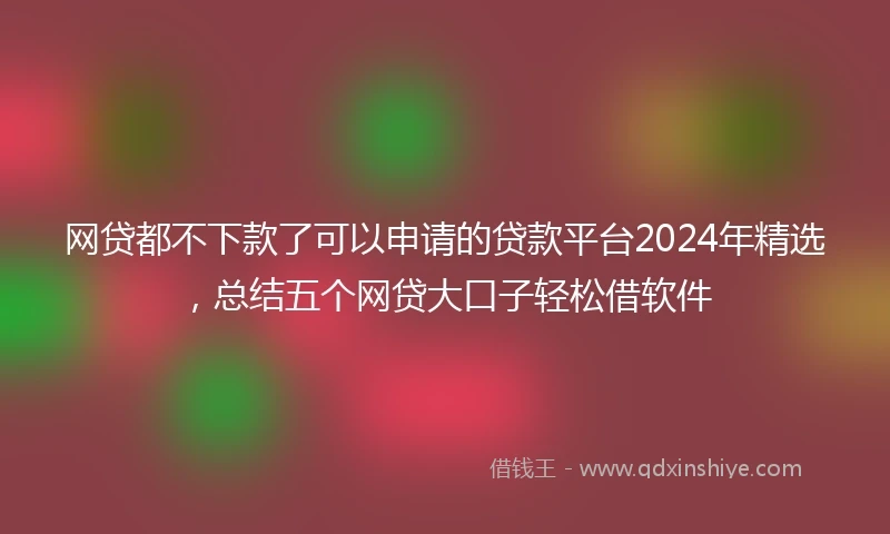 网贷都不下款了可以申请的贷款平台2024年精选，总结五个网贷大口子轻松借软件