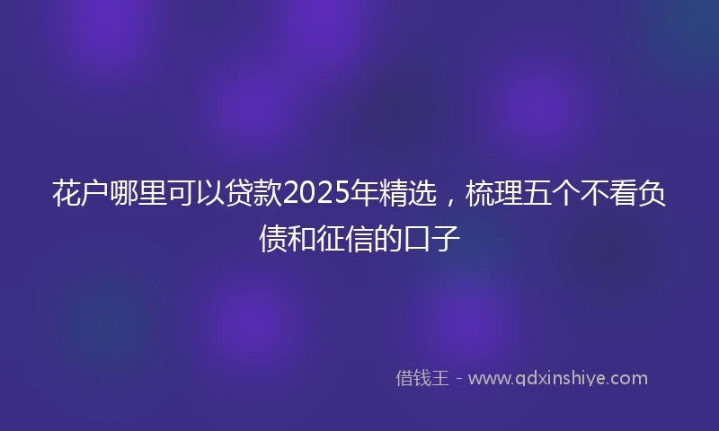 花户哪里可以贷款2025年精选，梳理五个不看负债和征信的口子