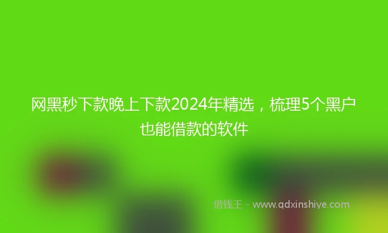 网黑秒下款晚上下款2024年精选，梳理5个黑户也能借款的软件