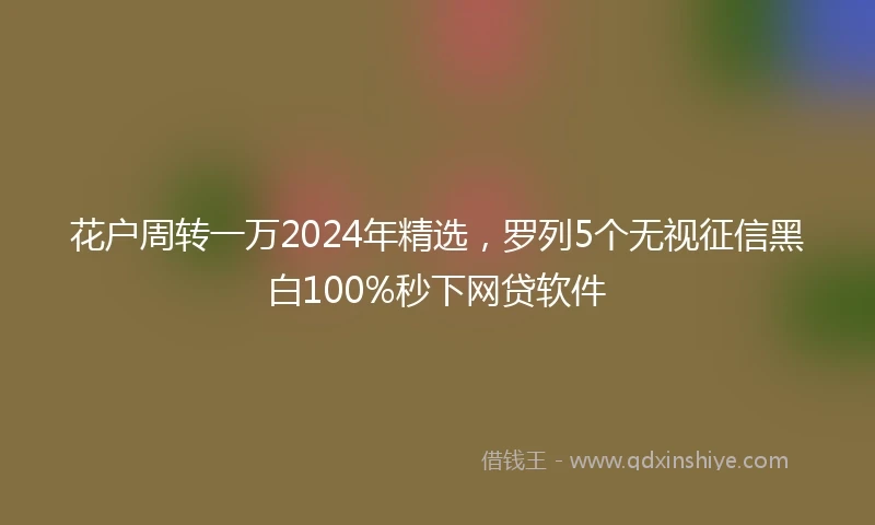 花户周转一万2024年精选，罗列5个无视征信黑白100%秒下网贷软件