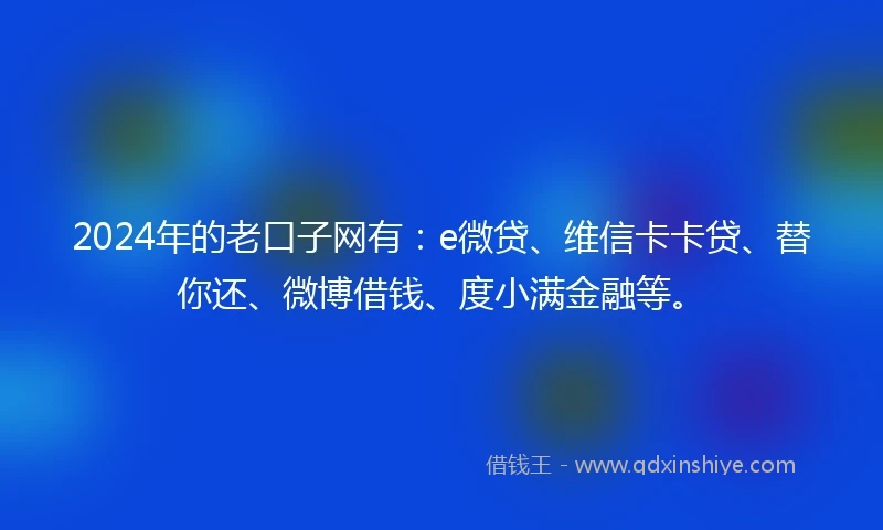 2024年的老口子网有：e微贷、维信卡卡贷、替你还、微博借钱、度小满金融等。