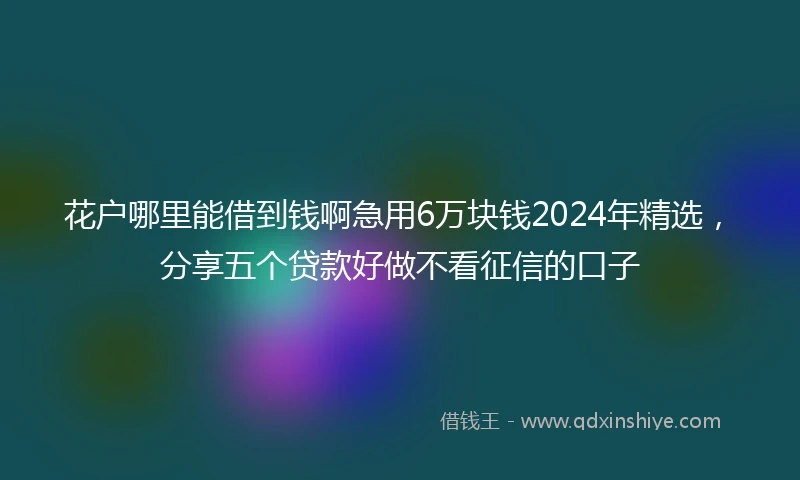 花户哪里能借到钱啊急用6万块钱2024年精选，分享五个贷款好做不看征信的口子