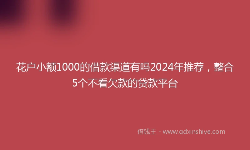 花户小额1000的借款渠道有吗2024年推荐，整合5个不看欠款的贷款平台