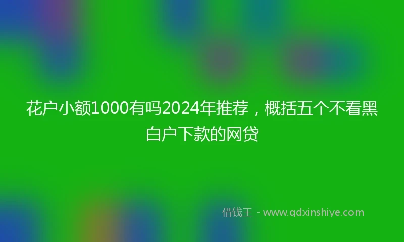 花户小额1000有吗2024年推荐，概括五个不看黑白户下款的网贷