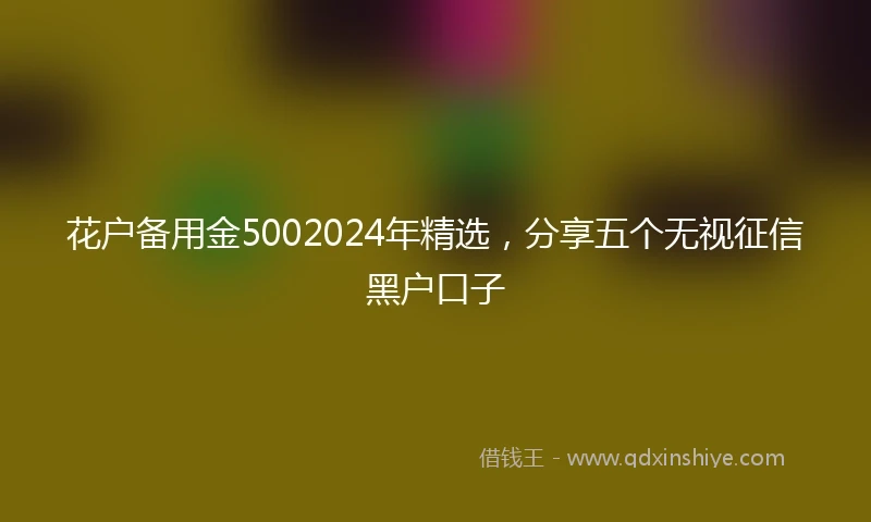花户备用金5002024年精选，分享五个无视征信黑户口子