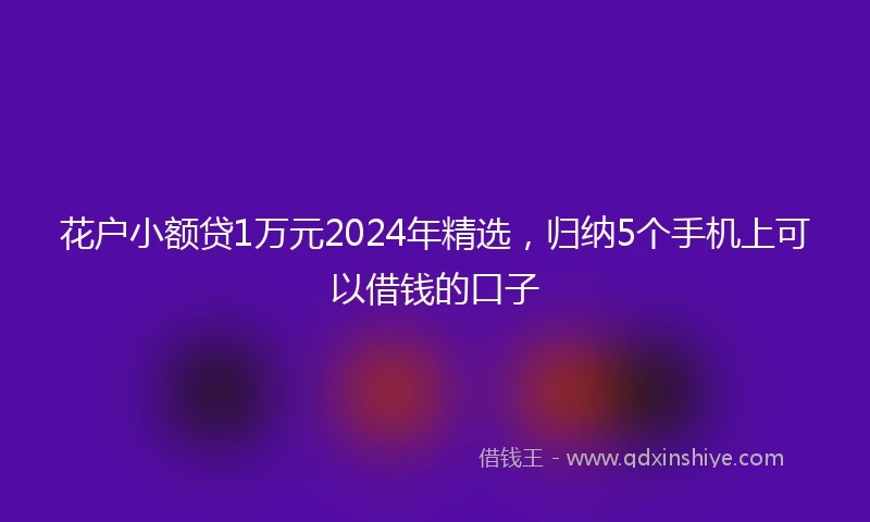 花户小额贷1万元2024年精选，归纳5个手机上可以借钱的口子