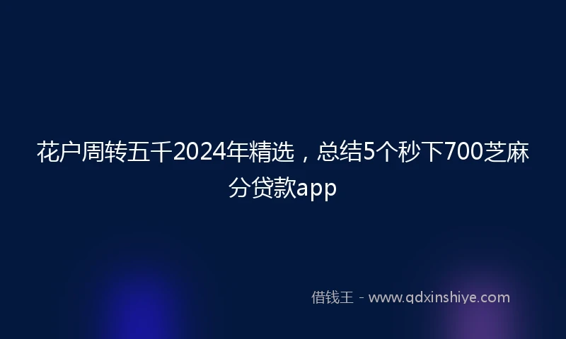 花户周转五千2024年精选，总结5个秒下700芝麻分贷款app
