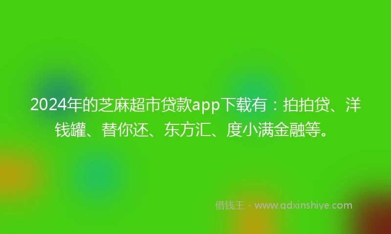 2024年的芝麻超市贷款app下载有：拍拍贷、洋钱罐、替你还、东方汇、度小满金融等。