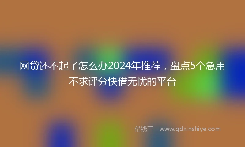 网贷还不起了怎么办2024年推荐，盘点5个急用不求评分快借无忧的平台