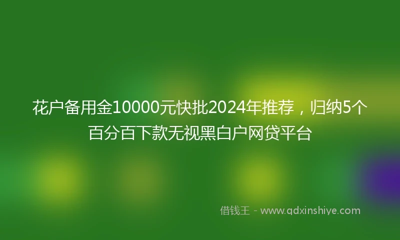 花户备用金10000元快批2024年推荐，归纳5个百分百下款无视黑白户网贷平台