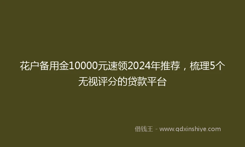 花户备用金10000元速领2024年推荐,梳理5个无视评分的贷款平台