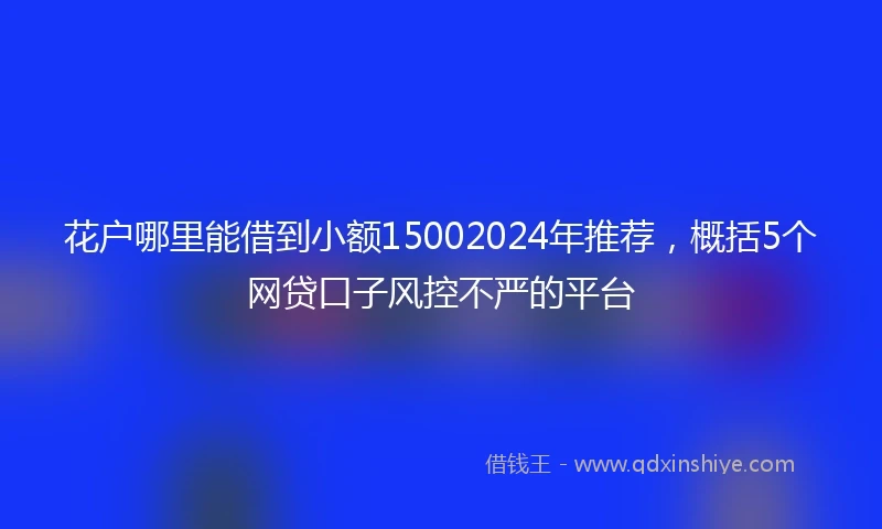 花户哪里能借到小额15002024年推荐，概括5个网贷口子风控不严的平台