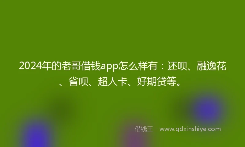 2024年的老哥借钱app怎么样有：还呗、融逸花、省呗、超人卡、好期贷等。
