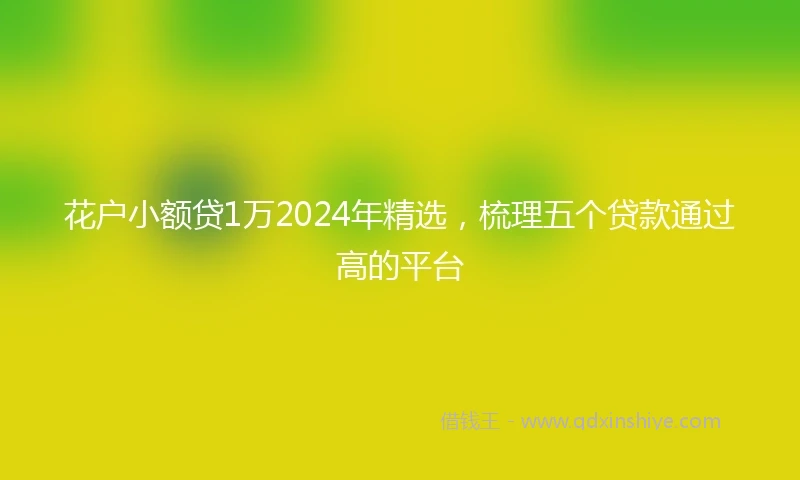 花户小额贷1万2024年精选，梳理五个贷款通过高的平台
