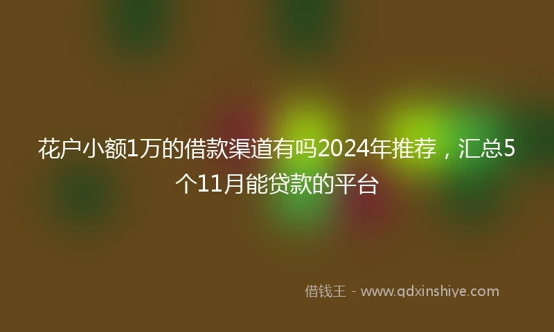 花户小额1万的借款渠道有吗2024年推荐，汇总5个11月能贷款的平台