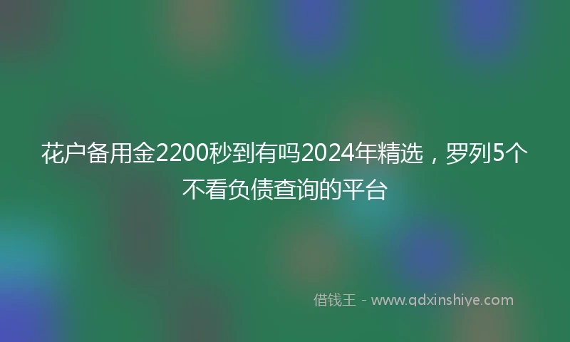 花户备用金2200秒到有吗2024年精选，罗列5个不看负债查询的平台
