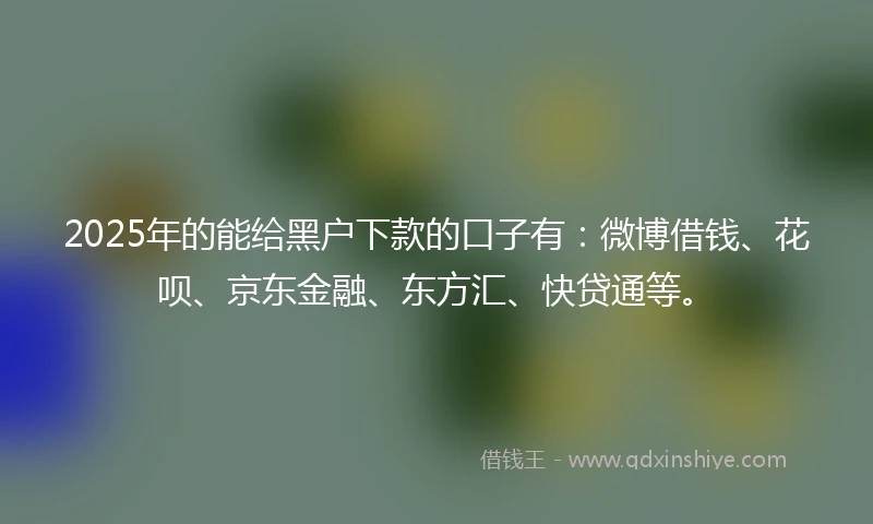 2025年的能给黑户下款的口子有：微博借钱、花呗、京东金融、东方汇、快贷通等。