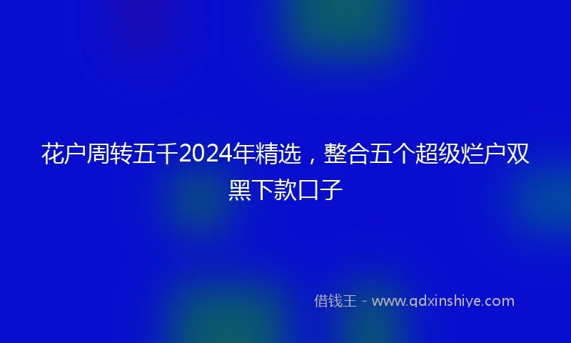 花户周转五千2024年精选，整合五个超级烂户双黑下款口子