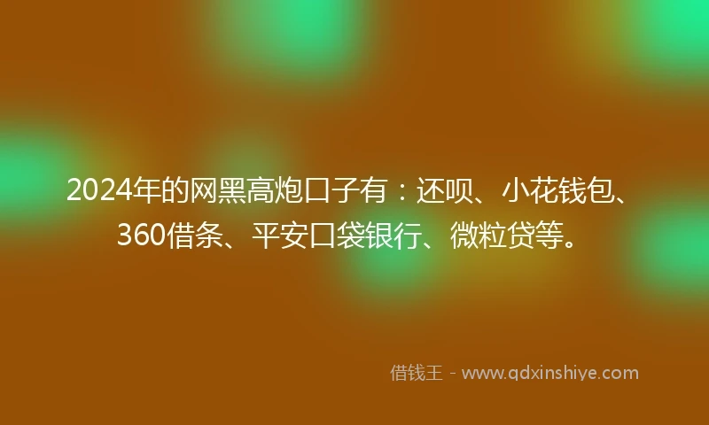 2024年的网黑高炮口子有：还呗、小花钱包、360借条、平安口袋银行、微粒贷等。