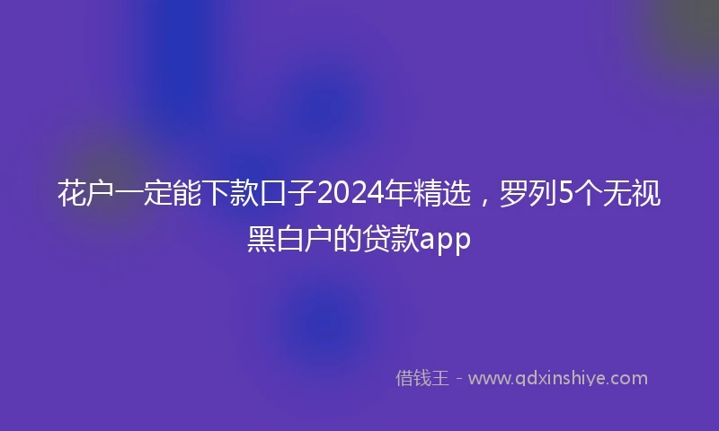 花户一定能下款口子2024年精选，罗列5个无视黑白户的贷款app
