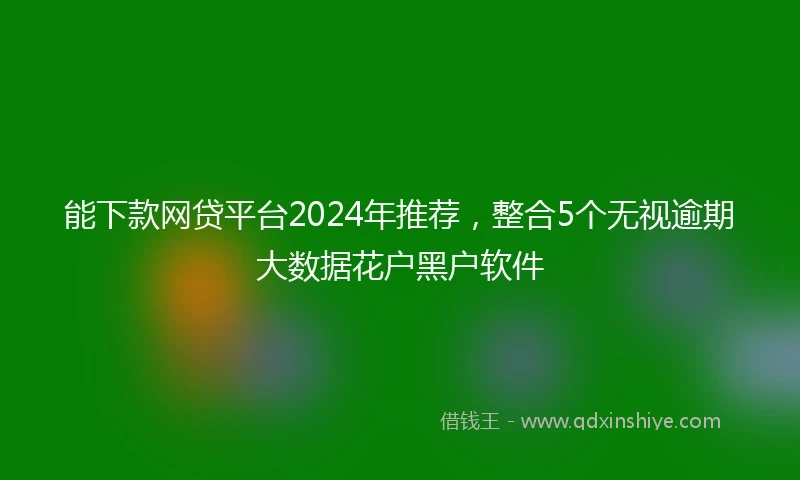 能下款网贷平台2024年推荐，整合5个无视逾期大数据花户黑户软件
