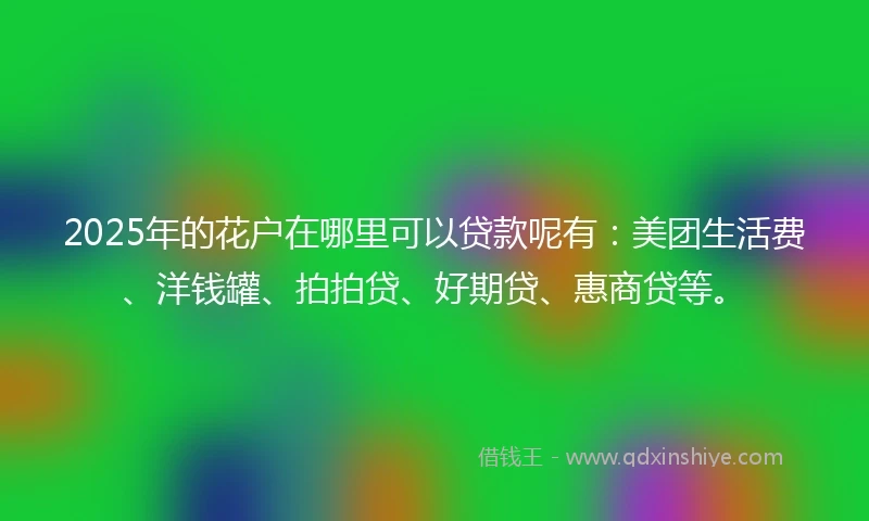 2025年的花户在哪里可以贷款呢有：美团生活费、洋钱罐、拍拍贷、好期贷、惠商贷等。