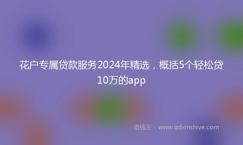 花户专属贷款服务2024年精选，概括5个轻松贷10万的app