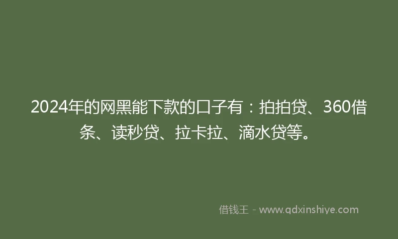 2024年的网黑能下款的口子有：拍拍贷、360借条、读秒贷、拉卡拉、滴水贷等。