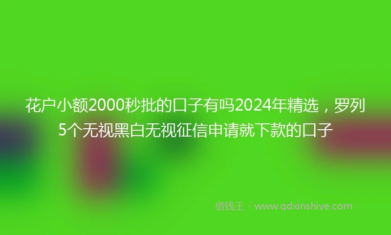 花户小额2000秒批的口子有吗2024年精选，罗列5个无视黑白无视征信申请就下款的口子