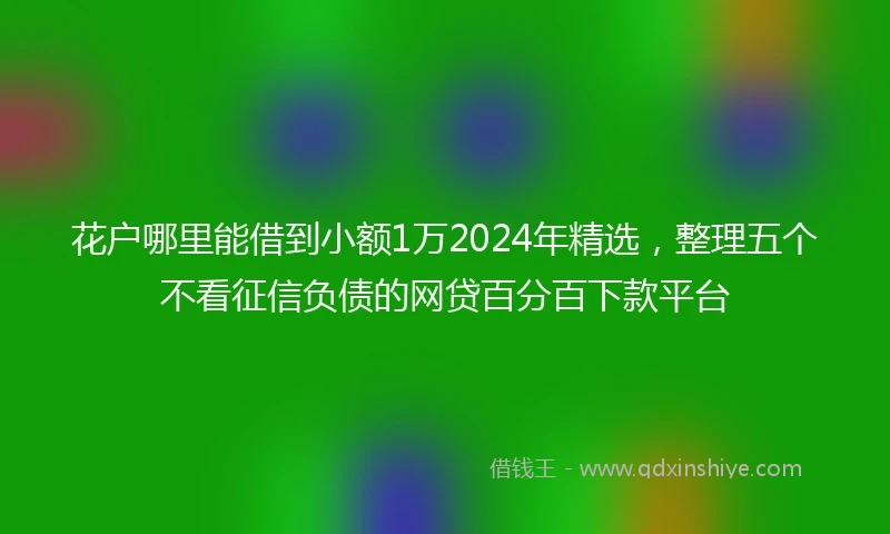花户哪里能借到小额1万2024年精选，整理五个不看征信负债的网贷百分百下款平台