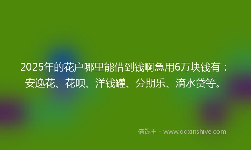 2025年的花户哪里能借到钱啊急用6万块钱有：安逸花、花呗、洋钱罐、分期乐、滴水贷等。