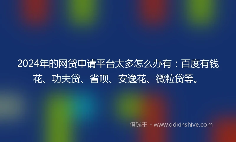 2024年的网贷申请平台太多怎么办有：百度有钱花、功夫贷、省呗、安逸花、微粒贷等。