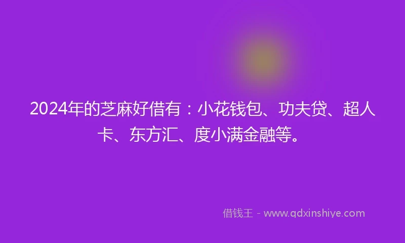 2024年的芝麻好借有：小花钱包、功夫贷、超人卡、东方汇、度小满金融等。