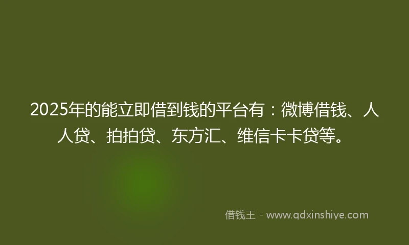 2025年的能立即借到钱的平台有：微博借钱、人人贷、拍拍贷、东方汇、维信卡卡贷等。