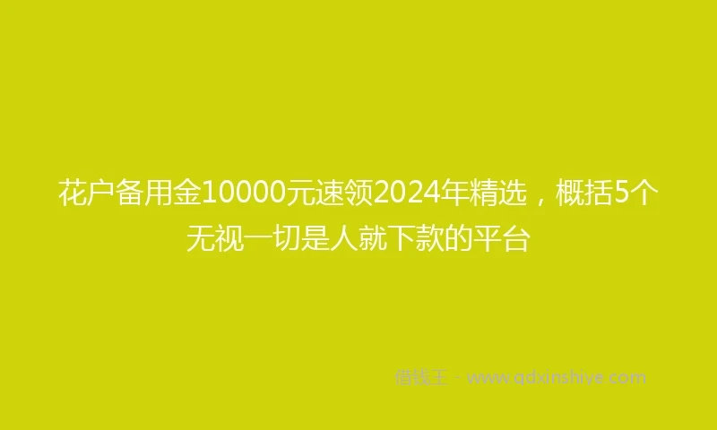 花户备用金10000元速领2024年精选，概括5个无视一切是人就下款的平台