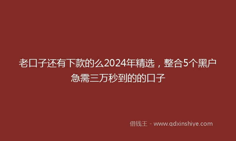 老口子还有下款的么2024年精选，整合5个黑户急需三万秒到的的口子