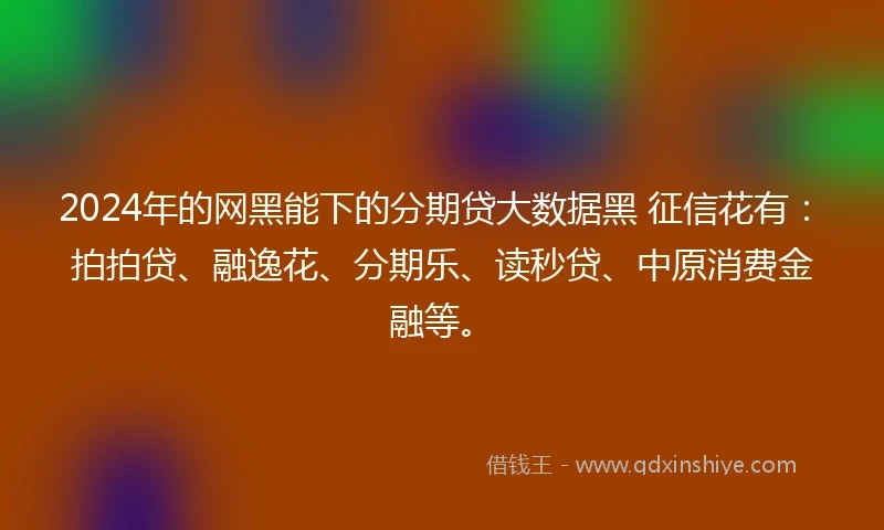 2024年的网黑能下的分期贷大数据黑 征信花有：拍拍贷、融逸花、分期乐、读秒贷、中原消费金融等。