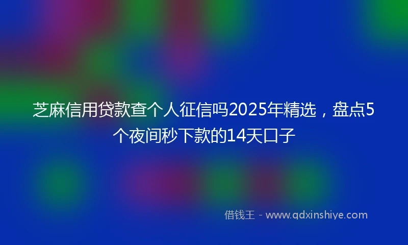 芝麻信用贷款查个人征信吗2025年精选，盘点5个夜间秒下款的14天口子