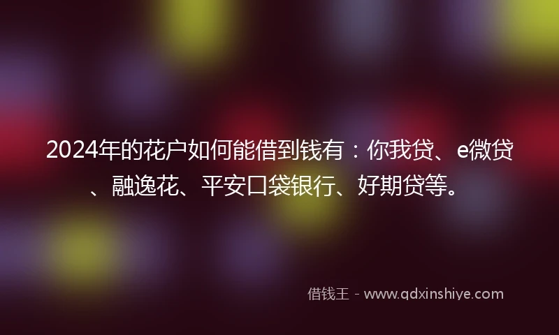 2024年的花户如何能借到钱有：你我贷、e微贷、融逸花、平安口袋银行、好期贷等。