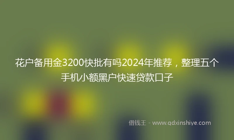 花户备用金3200快批有吗2024年推荐，整理五个手机小额黑户快速贷款口子